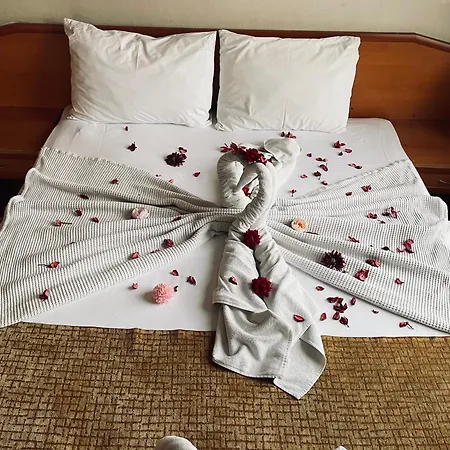 Life 3* Алания