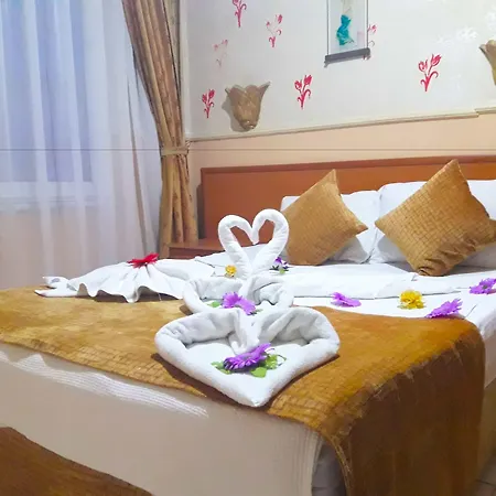 Life 3* アランヤ