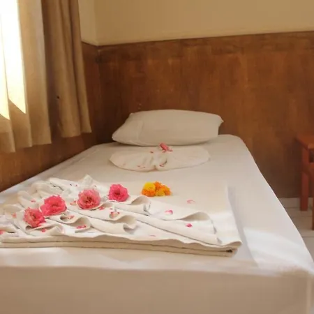 Life 3* アランヤ